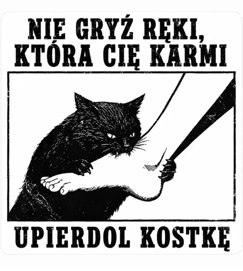 Kot gryzie karmiącą rękę
