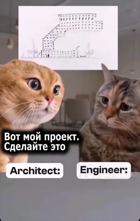 Архитектор и инженер-коты