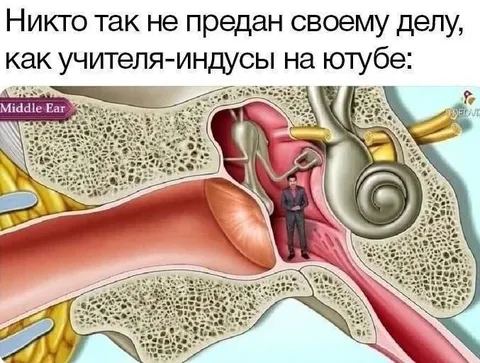 Учитель-индуист в ухе