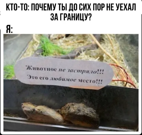 Почему не уехал за границу