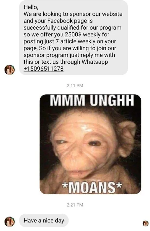 Spam Offer Gets a Moaning Reply