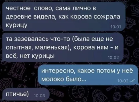 Корова съела курицу