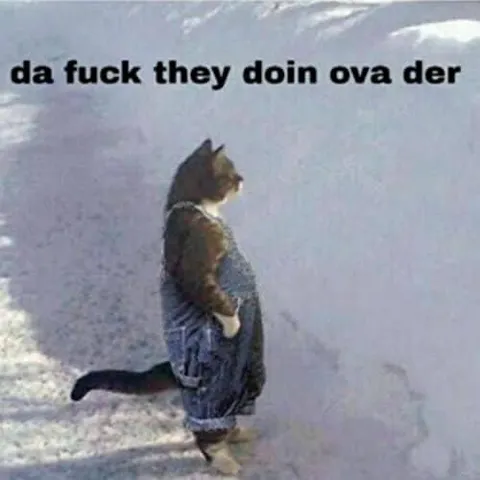Da fuck they doin ova der