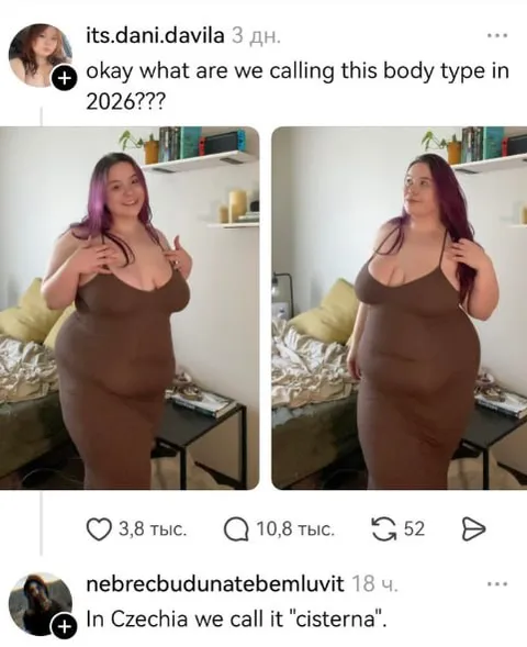 Cisterna body type