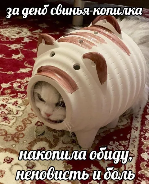 Свинья-копилка накопила боль