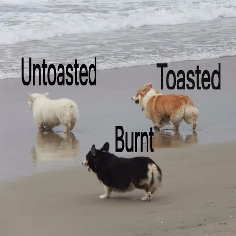 Untoasted Toasted Burnt Corgis