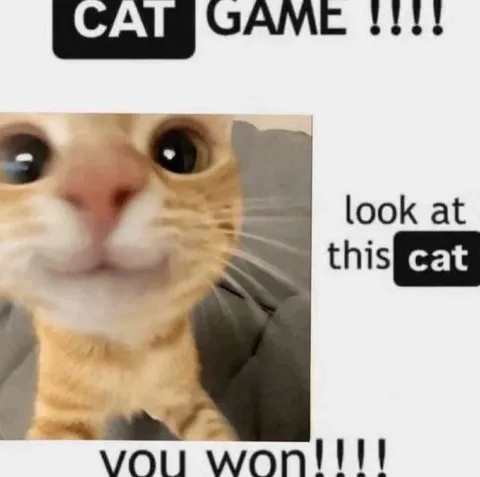 Cat Game You Won