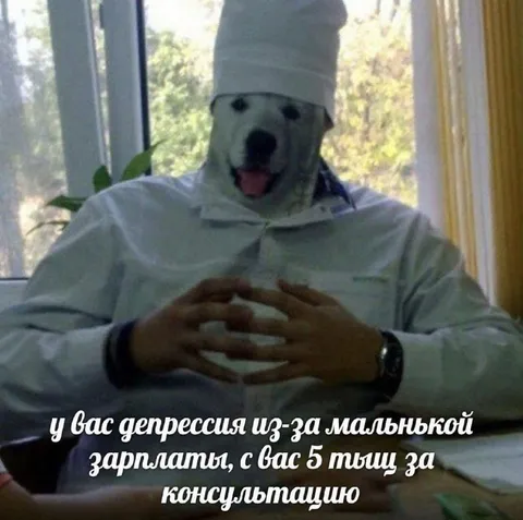Медведь-психолог за пять тыщ
