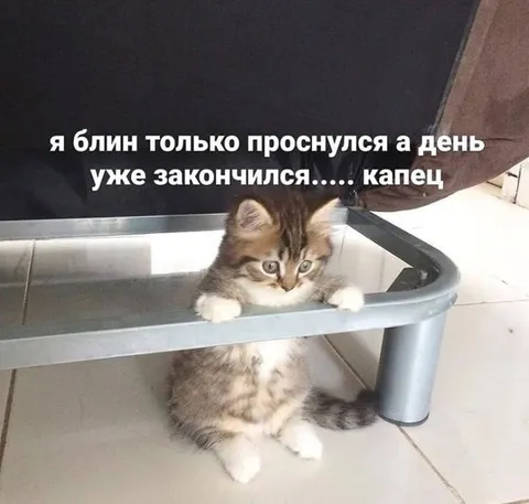 Проснулся — день закончился