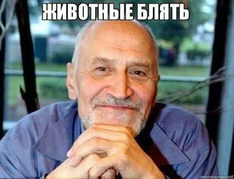 Животные, блять