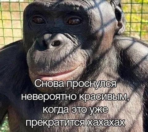 Когда это уже прекратится