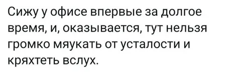 Нельзя мяукать в офисе
