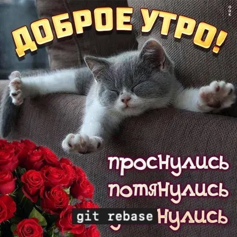 Доброе утро, проснулись