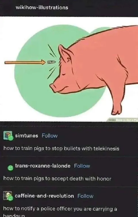 Pig Stops Bullets With Telekinesis