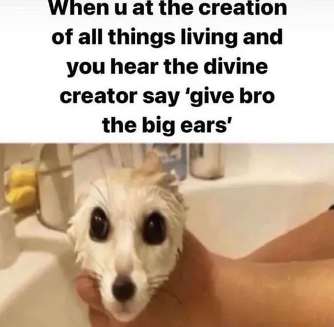 Give Bro the Big Ears