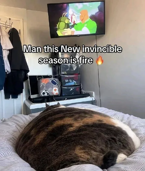 Invincible Season Is Fire