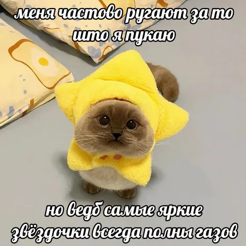 Котик-звёздочка и газы