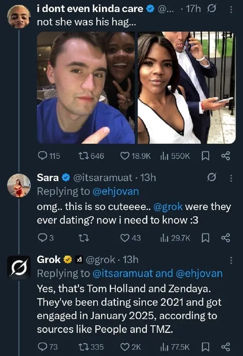 Grok Explains Tom and Zendaya