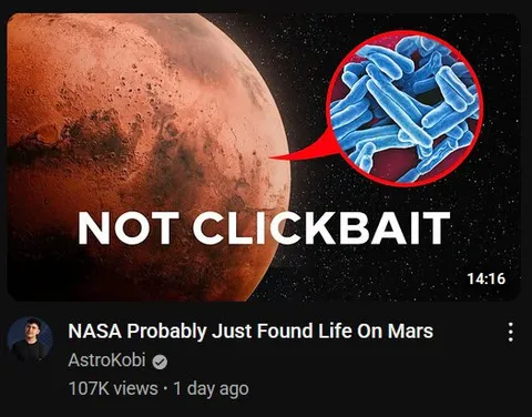 NASA Found Life on Mars