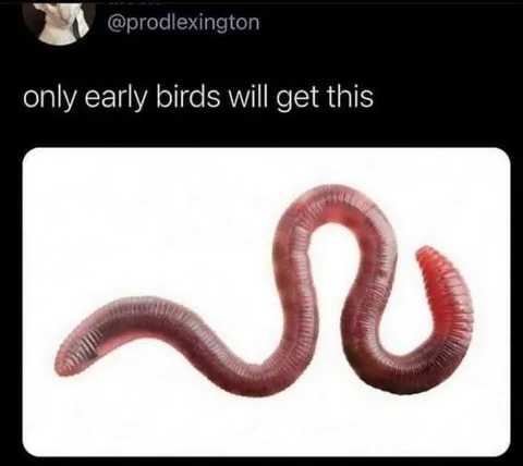 Only Early Birds Get This