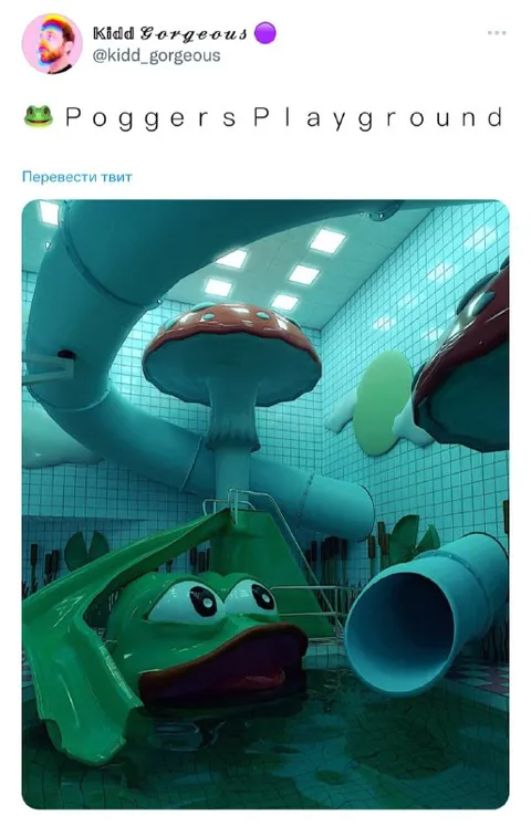 Poggers Playground Frog Pool