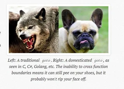 Traditional Goto vs Domesticated Goto