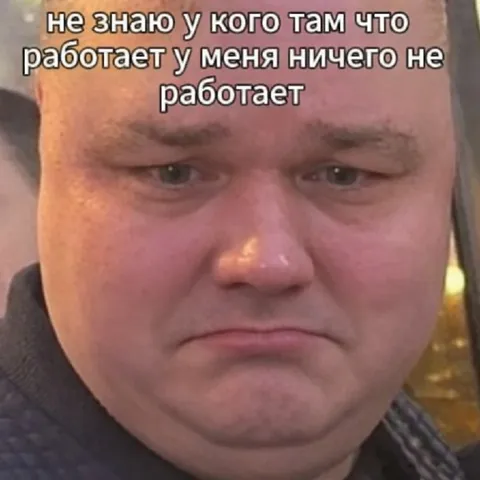 У меня ничего не работает