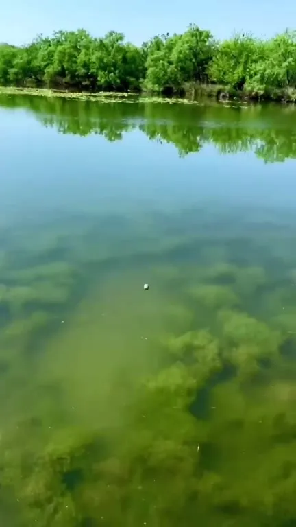 The Filthiest Transition Ever