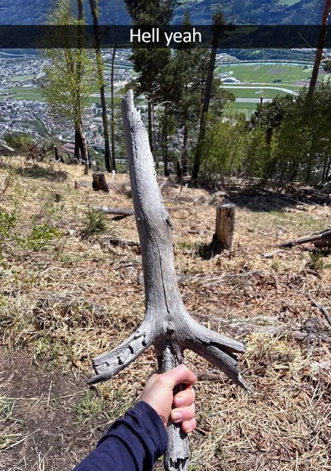 Hell Yeah Tree Find