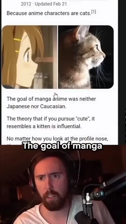 Anime Characters Are Actually Cats