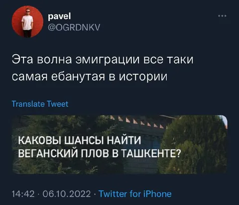 Веганский плов в Ташкенте