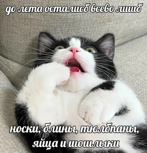 До лета остались носки и шашлыки