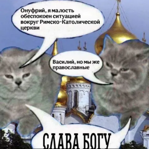 Коты обсуждают католическую церковь