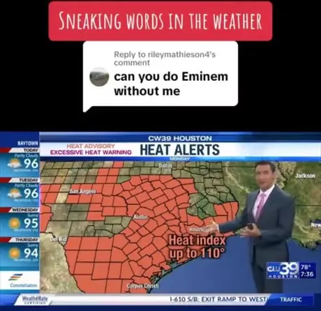 Weather Anchor Does Eminem Without Me