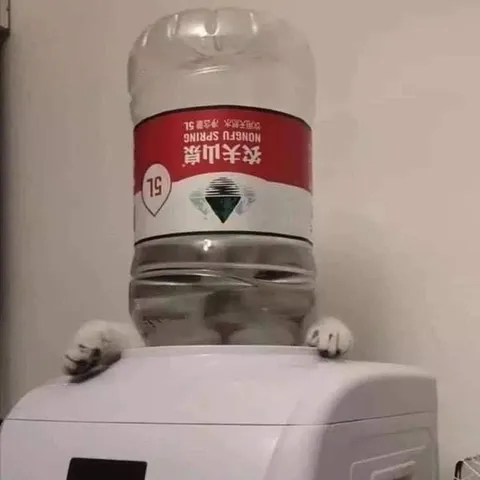 Cat Hiding Behind Water Bottle