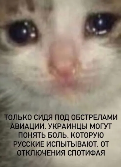 Боль от отключения Spotify