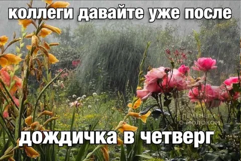 Дождичка в четверг
