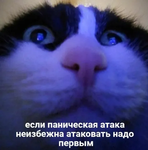 Паническая атака неизбежна