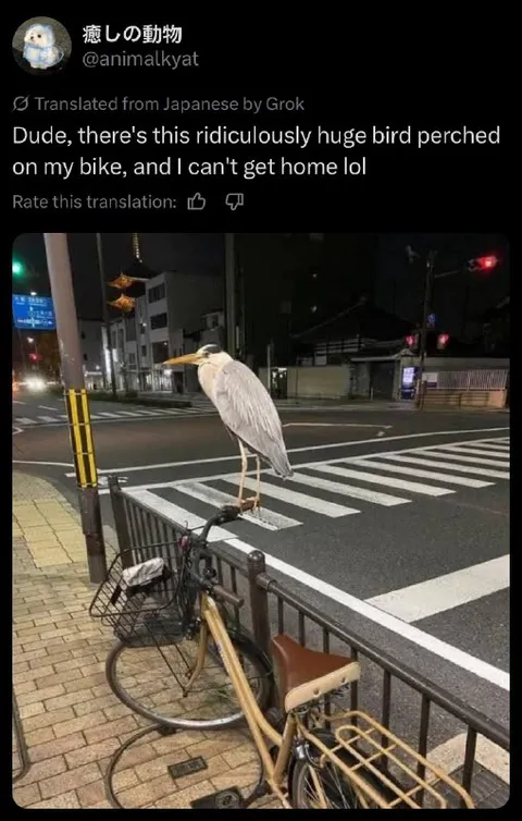 Giant Bird on My Bike