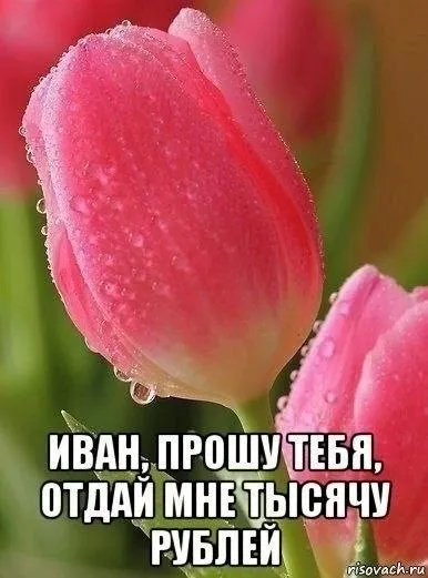 Иван, отдай тысячу рублей