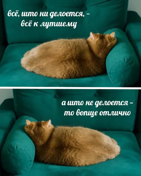 Всё к лучшему, а что не делается