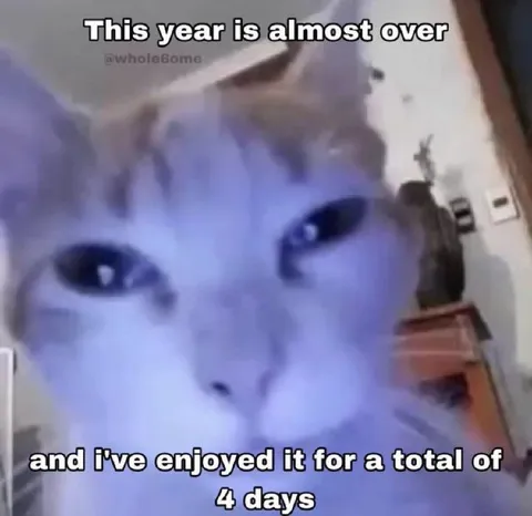 Enjoyed This Year for Four Days