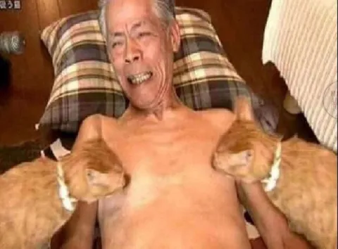 Мужчина и две кошки