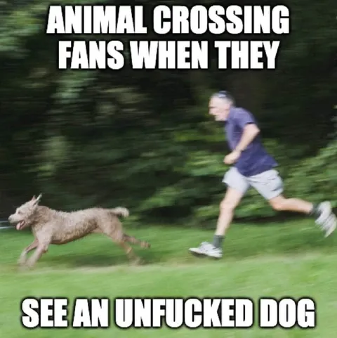 Animal Crossing Fans See Unfucked Dog