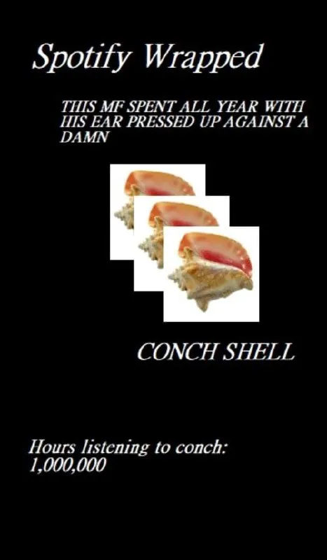 Spotify Wrapped Conch Shell