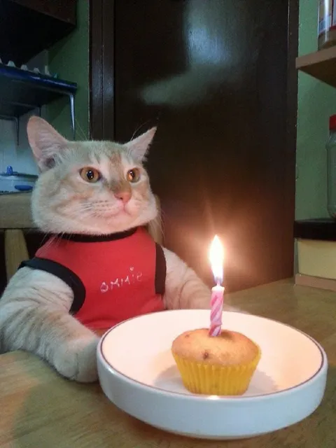 Cat Birthday Candle