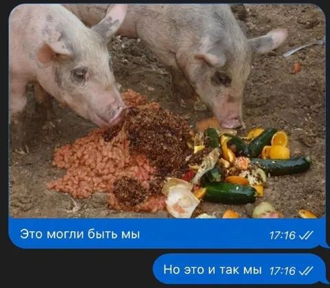 Это могли быть мы, но мы уже свиньи