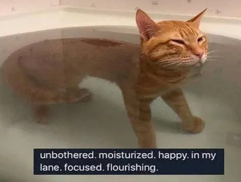 Unbothered Moisturized Happy Cat