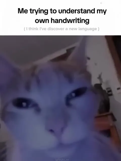 Cat Trying to Read Handwriting