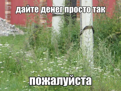 Дайте денег просто так